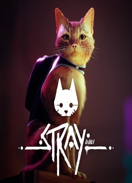 سی دی کی اورجینال Stray